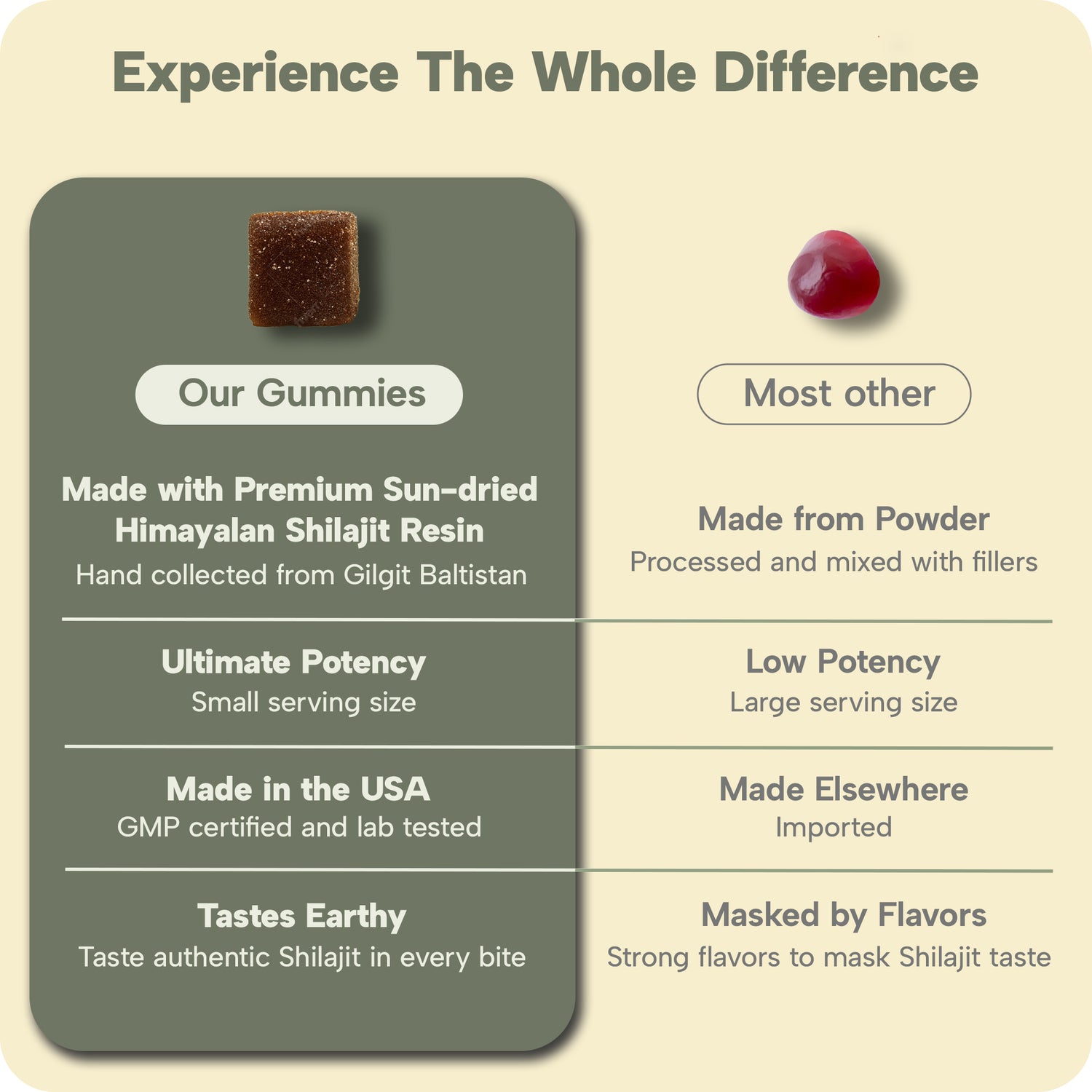 Himalayan Shilajit Gummies 30 Count