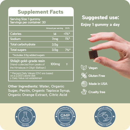 Himalayan Shilajit Gummies 30 Count